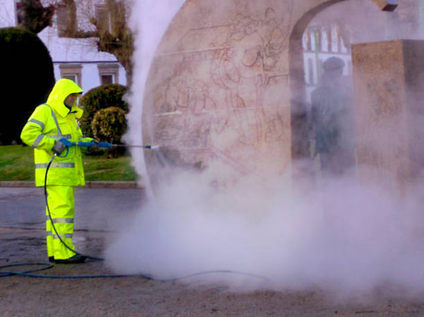 Best House Pressure Washing  in Marceline, MO